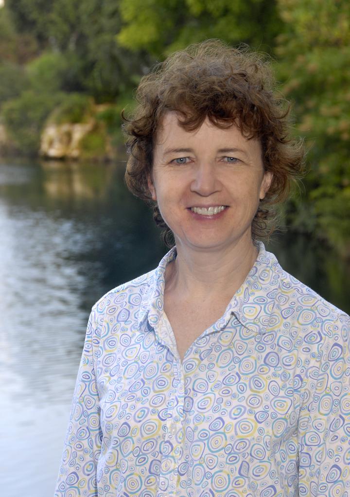 Bridget Scanlon, University of Texas at Austin