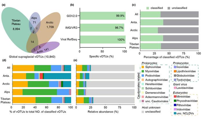 Composition, classification and specificity of global supraglacial DNA viruses