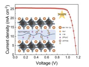 A diagram showing the structure of an inverted perovskite solar cell with a polymer ionic liquid modification