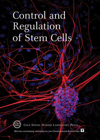 Control and Regulation of Stem Cells
