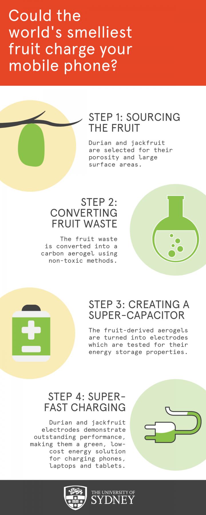 Infographic - durian as supercapacitor