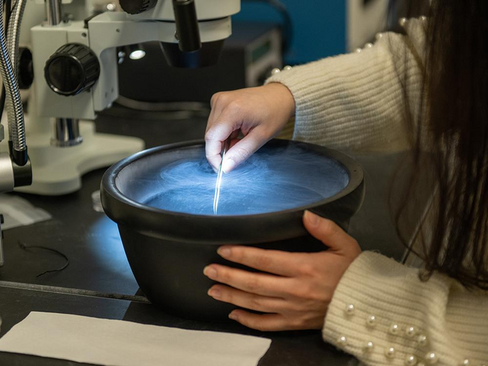 a specimen in liquid nitrogen in preparation for imaging in the cryo-electron microscopy instrument