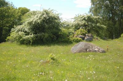 Taxås Nature Reserve