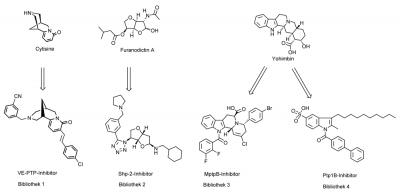 Phosphatase Inhibitor Development