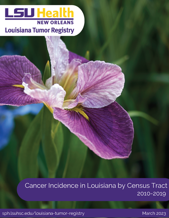 Cancer Incidence in Louisiana by Census Tract 2010-2019