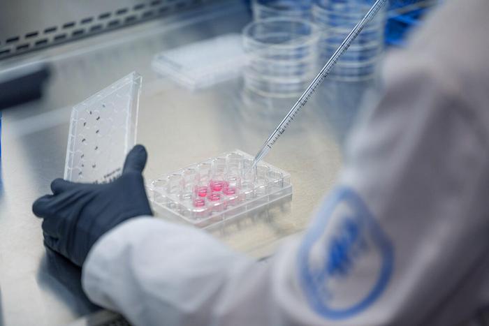 MSK Lab Research [IMAGE] | EurekAlert! Science News Releases