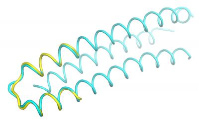 Scientists Create Potential Vaccine Ingredient for Childhood Respiratory Disease