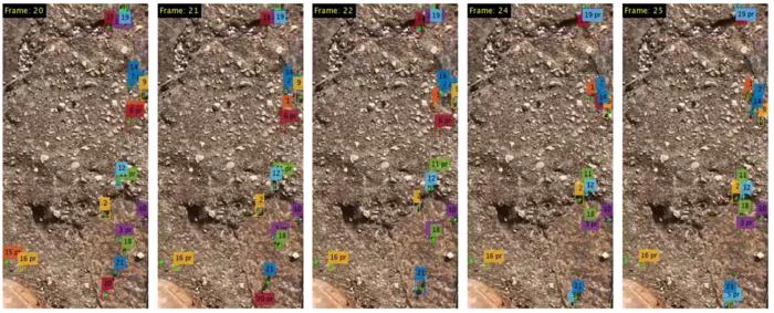 Trajectories of the ants in 5 video frames