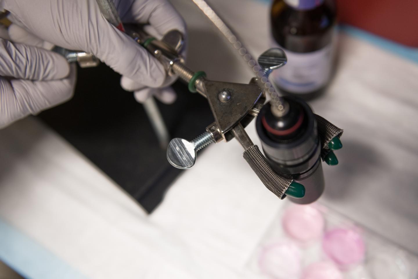 Mild Near-Infrared Laser Activates Genetic Switch in T Cells