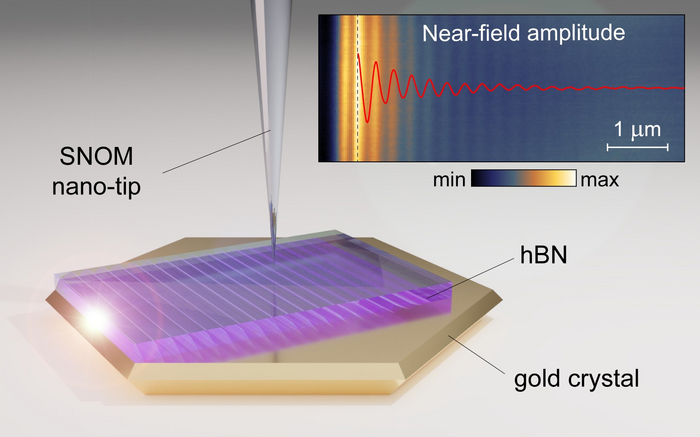 the ultra-high-resolution imaging of the image phonon-polaritons in hBN launched by the gold crystal edge
