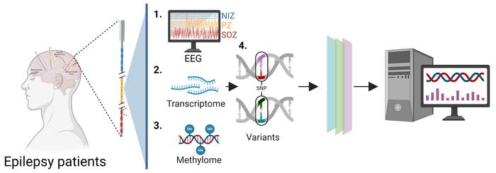 Graphical abstract of the research