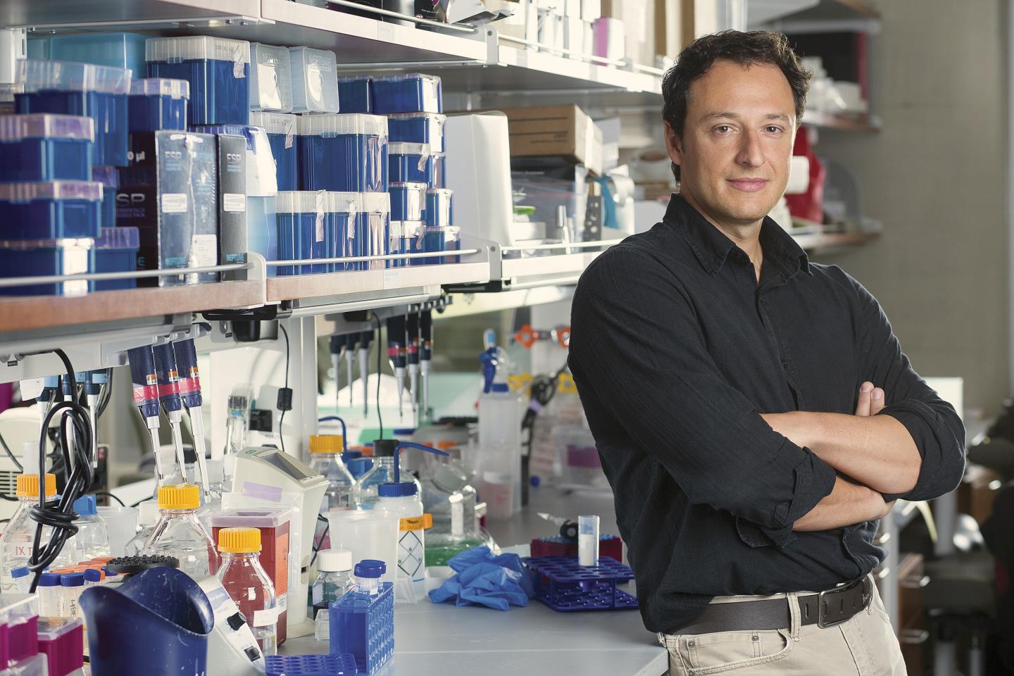 Alysson R. Muotri, Sanford-Burnham Prebys Medical Discovery Institute