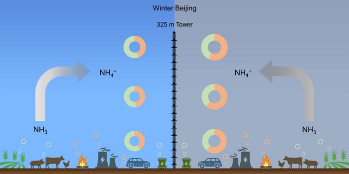 Ammonia sources of PM2.5 ammonium in winter Beijing
