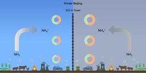 Ammonia sources of PM2.5 ammonium in winter Beijing