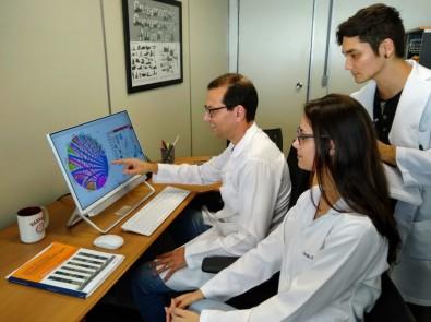 Researchers in Brazil Analyzed 12 Types of Tumor