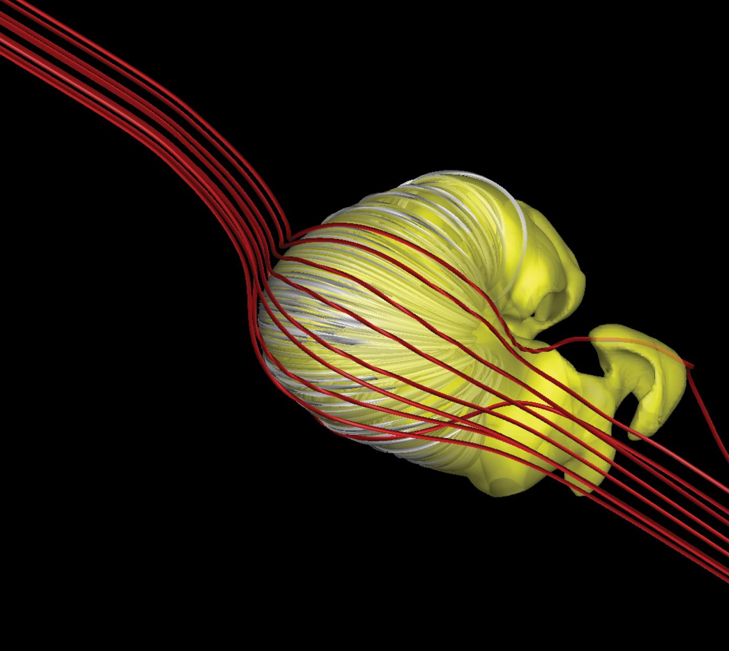 Visualization of Heliosphere Shape