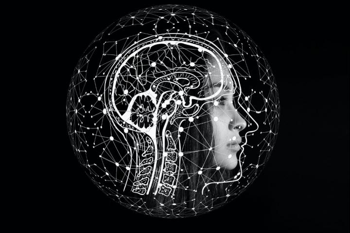 The DNA regions in our brain that contribute to make us human