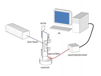 Schematic Illustration of Technique