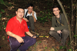 Dr Dan Challender examining Chinese pangolin burrows