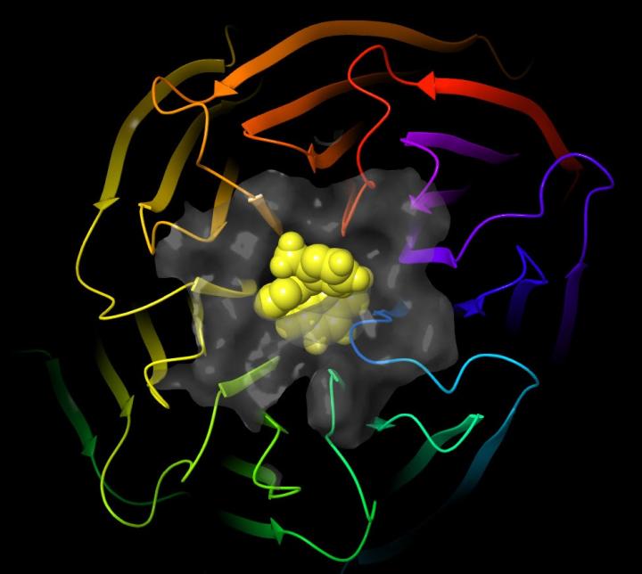 Toward a Reliable Oral Treatment for Sickle Cell Disease