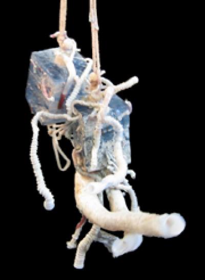 Tubeworm Artificial Settlement Cubes