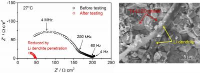 Li Dendrite Penetration in Ceramic Electrolyte