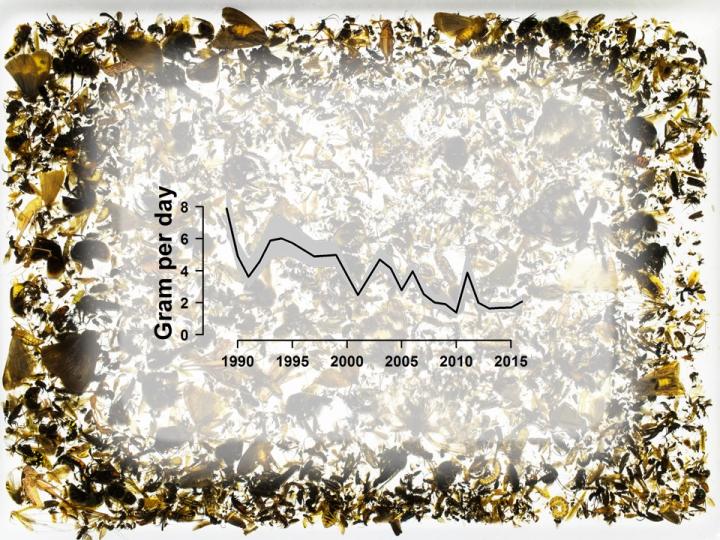 Figure The Average Weight of Trapped Insects