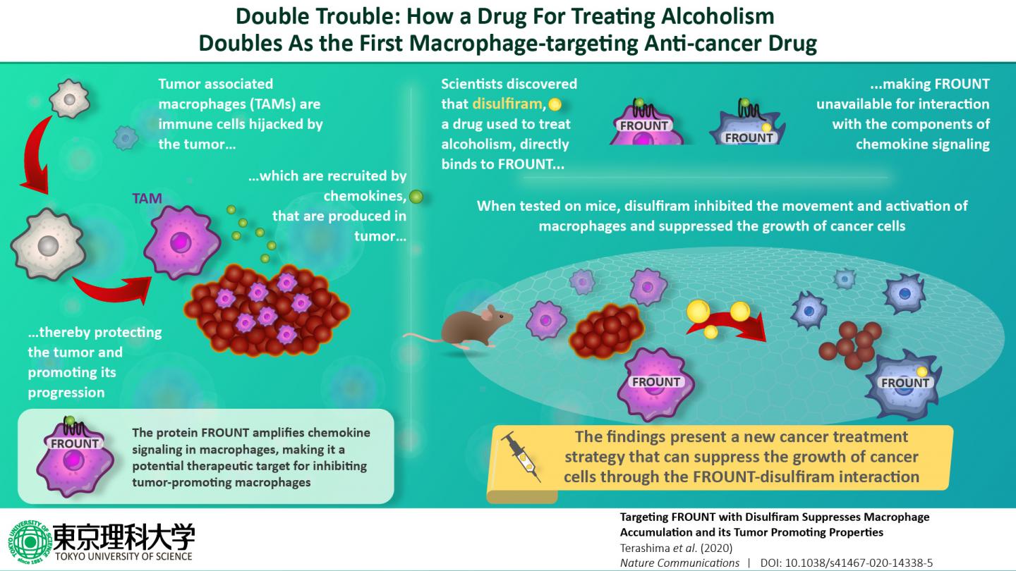 A First-Of-Its-Kind Cancer Treatment Strategy