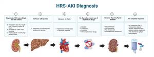 HRS-AKI diagnostic criteria. HRS-AKI is characterised by a decrease in renal blood flow and glomerular filtration rate.