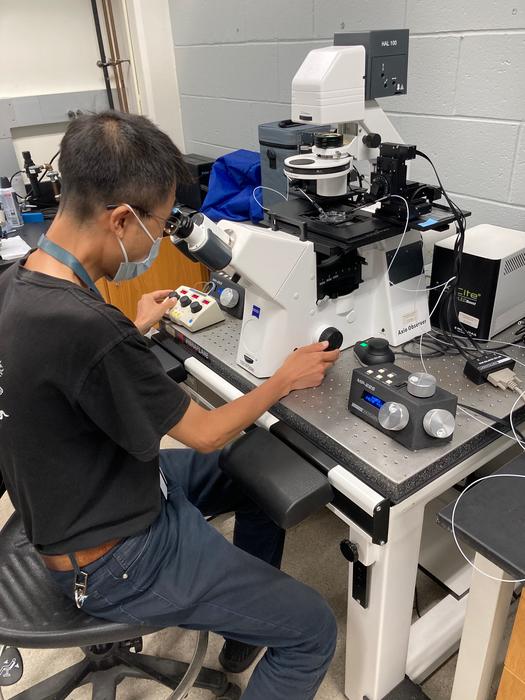 Work in the Gene Editing Facility at the Marine Biological Laboratory