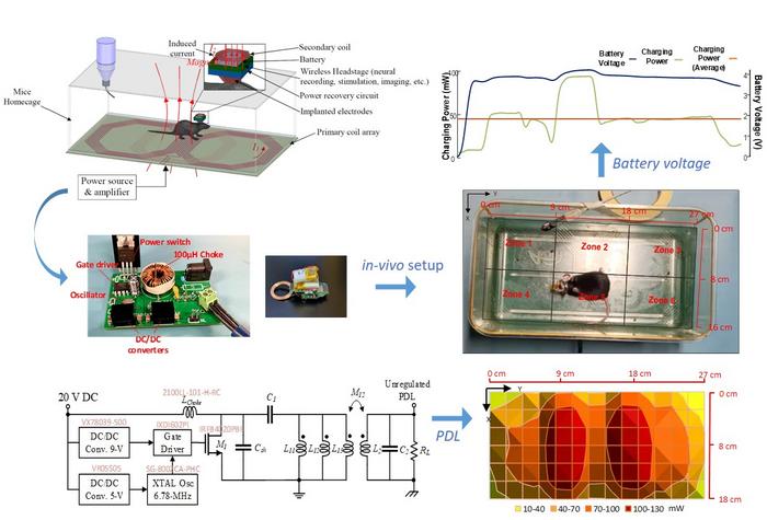 Optimized multi-coil wireless power transfer for experimental neuroscience settings with live animals: a robust design methodology