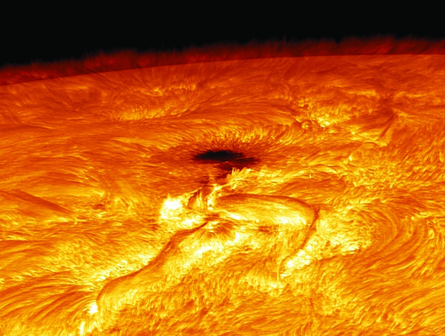 H-alpha Image of a Sunspot Active Region near Limb