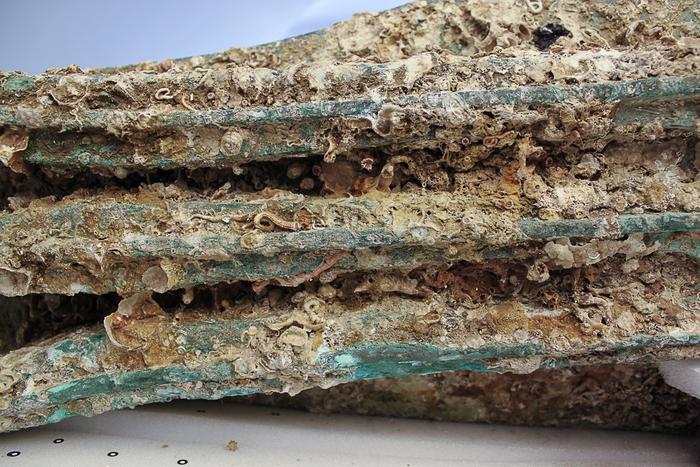 2,200-year-old Carthaginian ship's ram