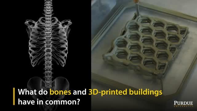 Bone-Inspired Architected Materials