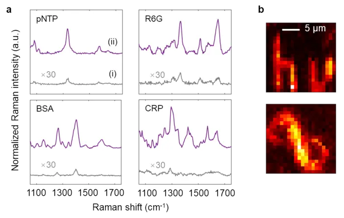 Microprobe-enhanced Raman spectroscopy and imaging.