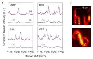 Microprobe-enhanced Raman spectroscopy and imaging.