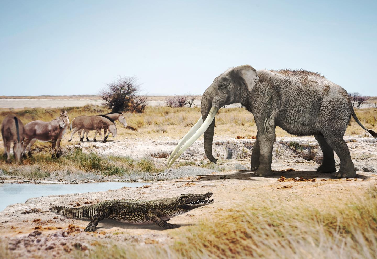 African crocodiles lived in Spain six million years ago