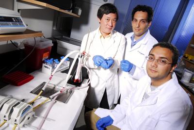 Ku and Collaborators