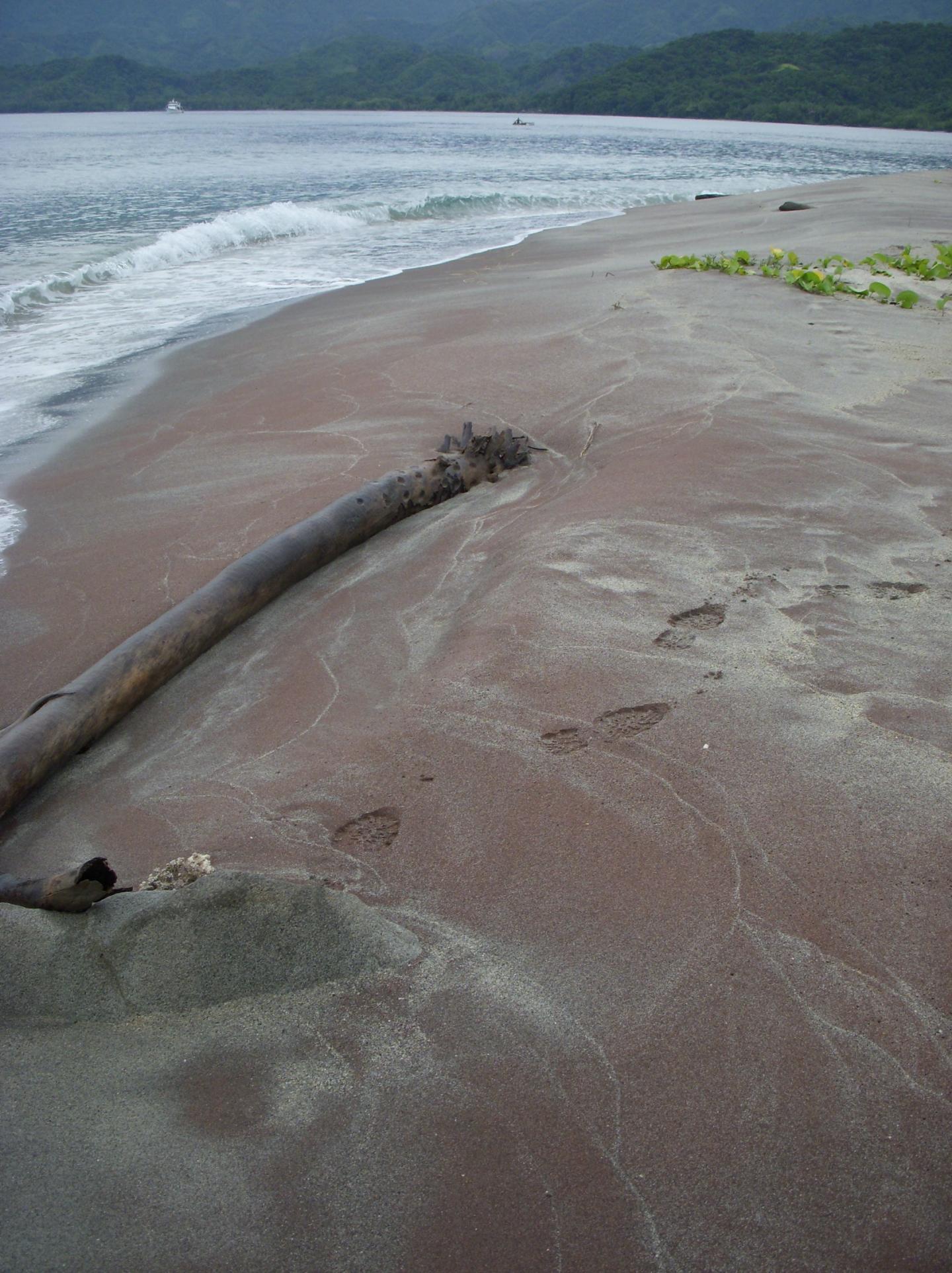 Garnet sand beach on Goodenough Island