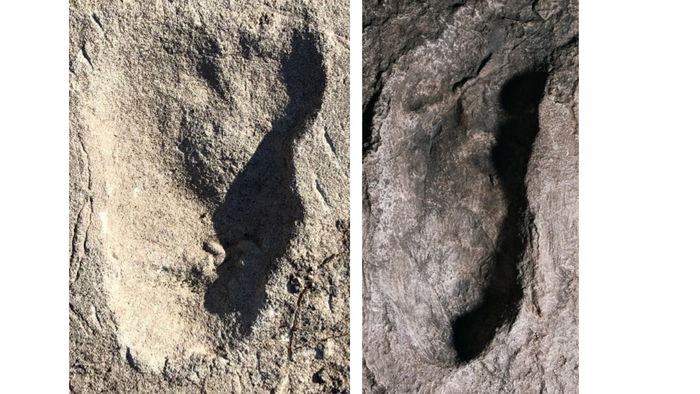 Image of Laetoli A3 footprint (on left) and image of a cast of Laetoli G1 footprint (on right).