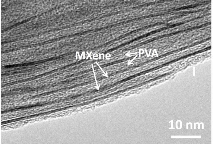 MXene-polymer SEM Image