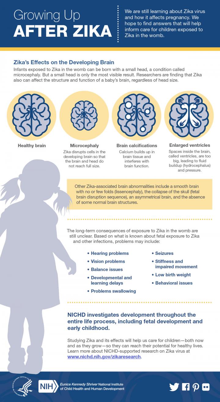 Growing Up After Zika
