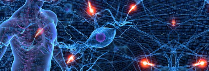 Metabolic Modelling Becomes Three-dimensional