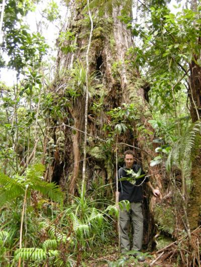 Jim Kellner, Brown University