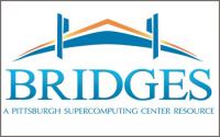Bridges Supercomputing Logo