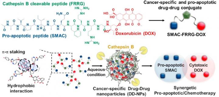 A schematic diagram of cancer cell specific anti-cancer drug precursor nanopharmaceutical technology