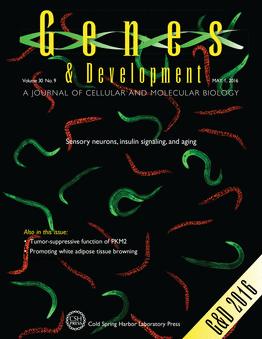 POSTECH Researchers Find Sensory Neurons Modulate Aging Hormone