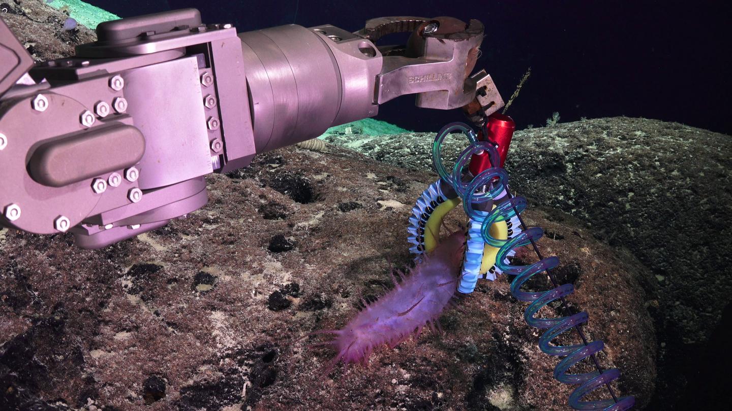 Soft Robotics and 3D Printing Allow Marine Biologists to Explore Delicate Deep-Sea Life