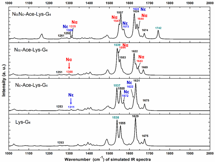 Raman and Infrared Spectroscopy Identified Different Acetylated Lysine