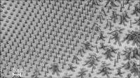 Carbon Nanotube Bundle Comparisons